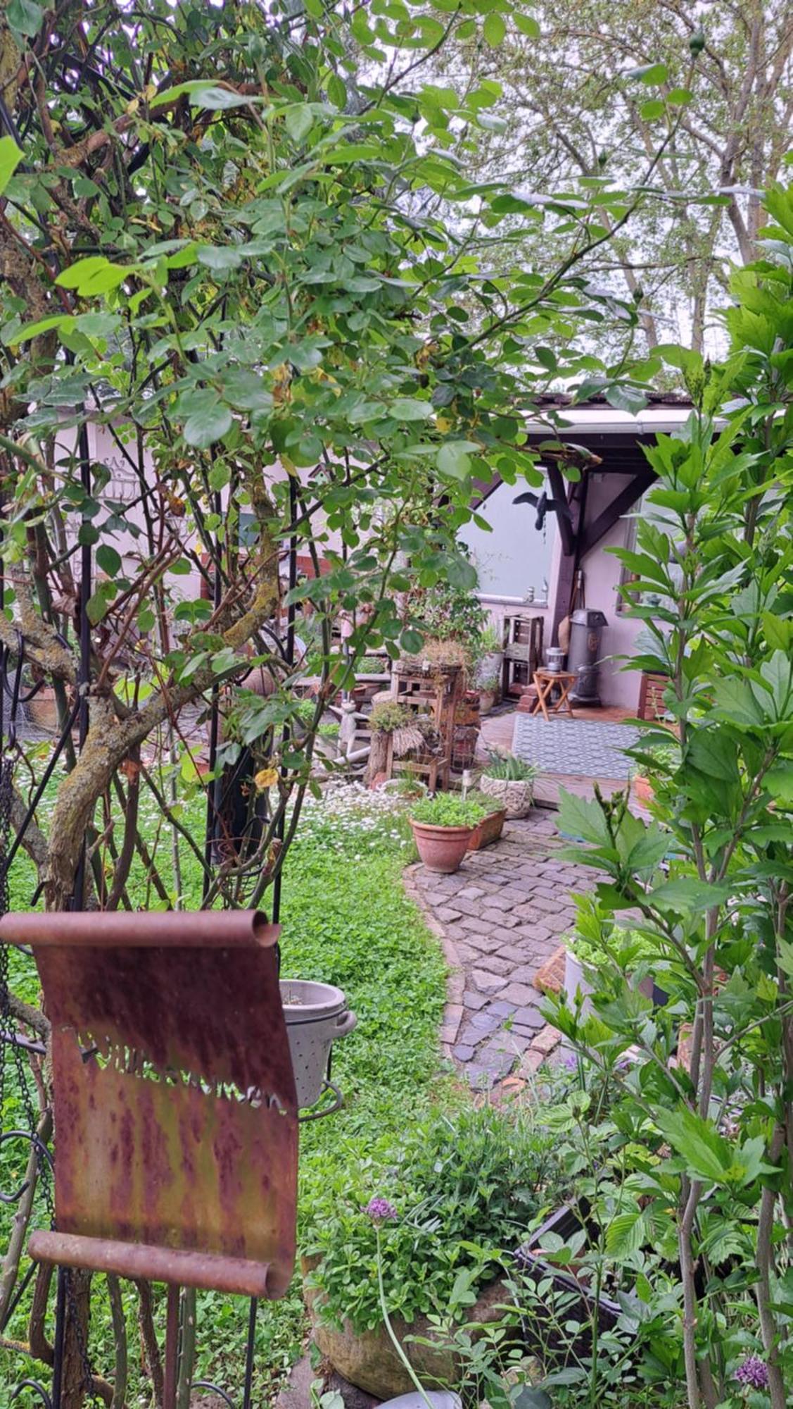 Ferienwohnung Vogt Mertloch 외부 사진