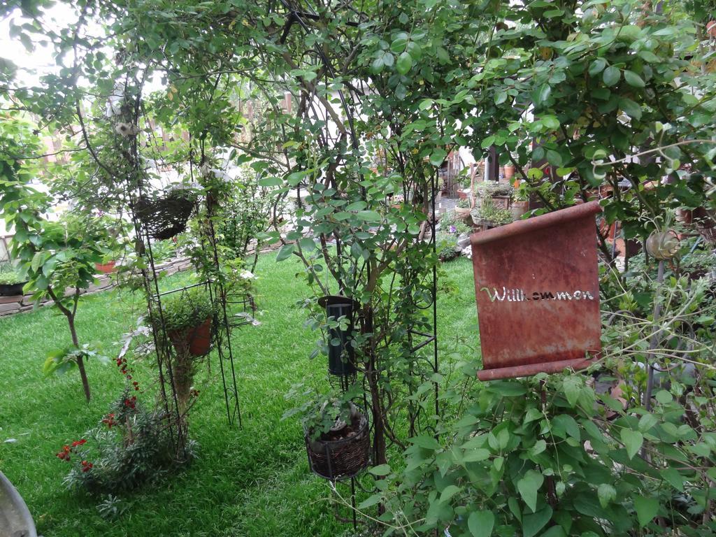 Ferienwohnung Vogt Mertloch 외부 사진